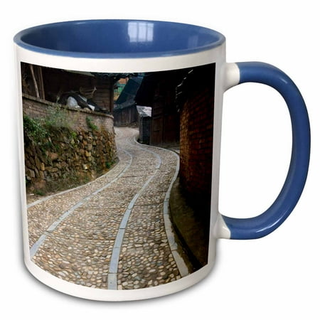 

3dRose Cobbled path Miao village Kaili Guizhou China - AS07 KSU1494 - Keren Su - Two Tone Blue Mug 11-ounce