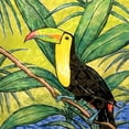 thumbnail image 3 of Biscardi, Nicholas 12x12 Black Modern Framed Museum Art Print Titled - Tropical Bird II, 3 of 5