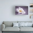 thumbnail image 2 of Canvas Wall Art - Cicek Kiral 'Soft Was The Light' Wall Art for Living Room, Bedroom, or Office Décor by Trademark Fine Art - 32 x 22 Inches, 2 of 4
