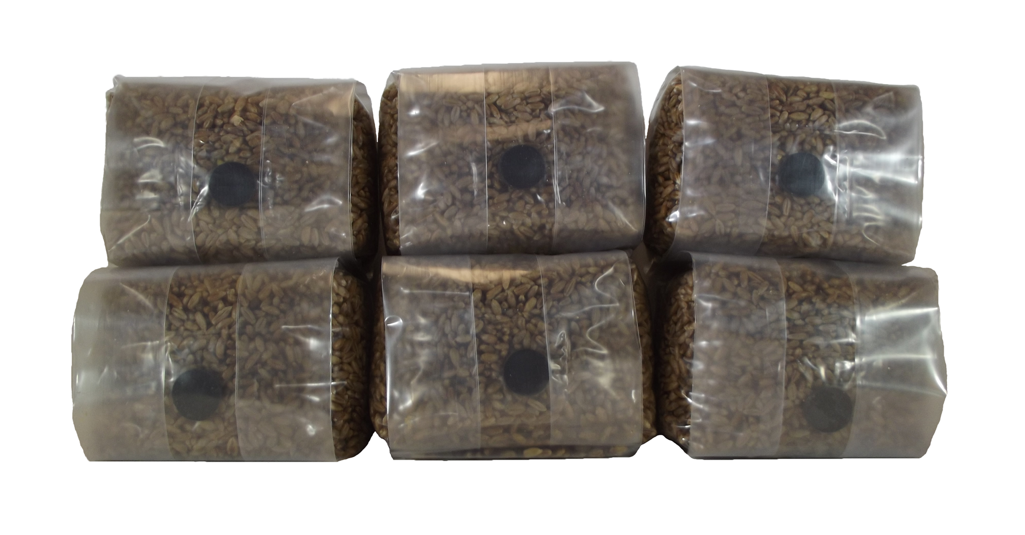 Sterilized Rye Berry Mushroom Substrate With Self Healing Injection