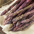 thumbnail image 2 of Puple Passion Asparagus Dormant Bare Root Vegetable Roots, 10 Medium Grade Roots, 2 of 4