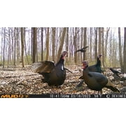Muddy Matrix Dual Network Cellular Trail/Game Camera, 36MP