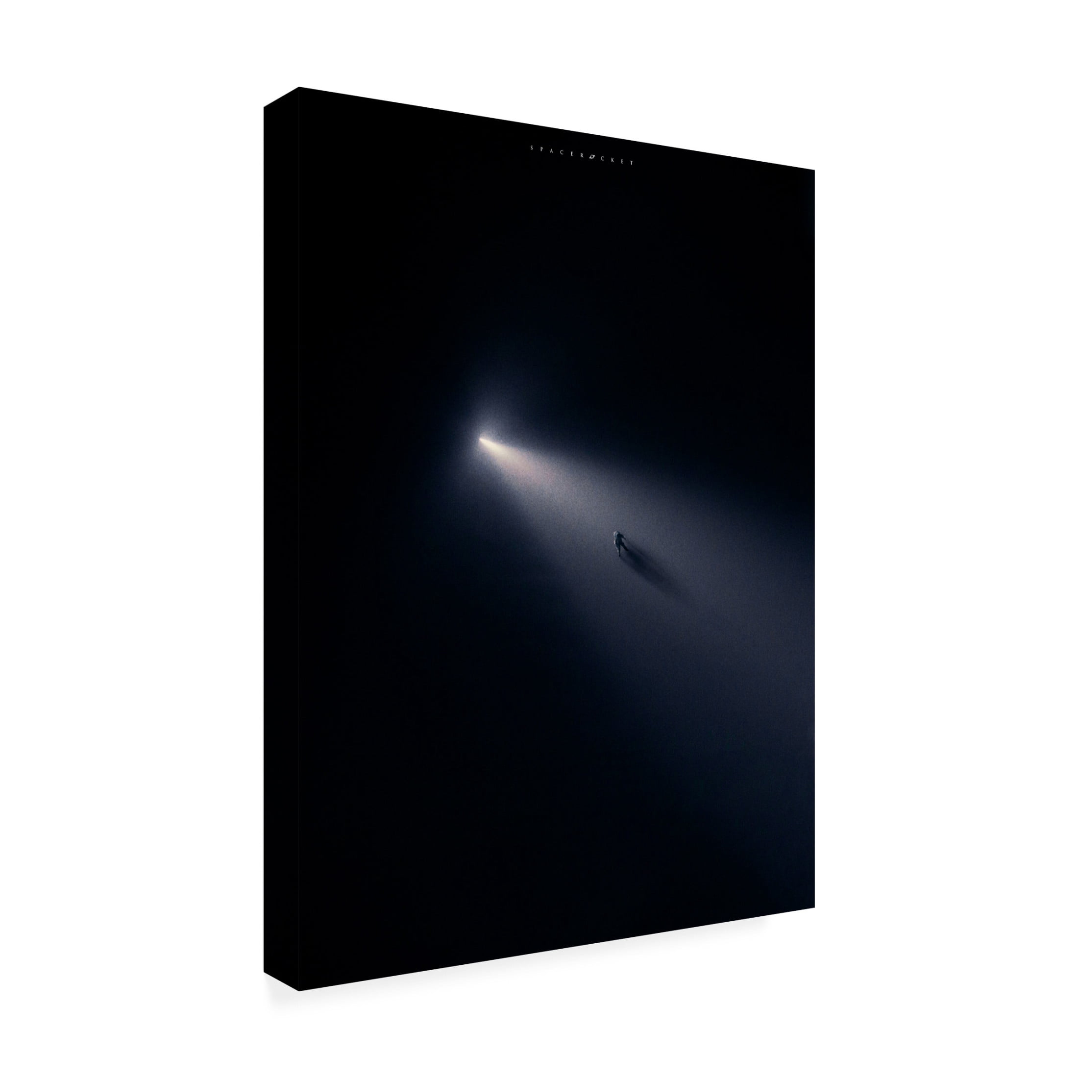 Trademark Fine Art spacerocket art  455 Canvas Wall Art