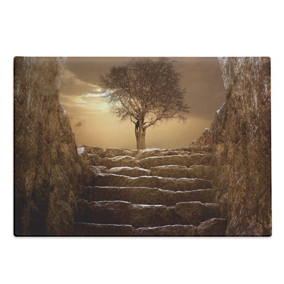 Tree Cutting Board, Treet Entrance with Stone Stairs Sun Rays Cloudy Sky Winter Landscape Monochromic View, Decorative Tempered Glass Cutting and Serving Board, Large Size, Brown, by Ambesonne