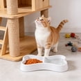 thumbnail image 5 of Bcylexb Bone-Shaped Dual-Use Pet Bowls for Cats and Dogs – Integrated Feeding and Watering with Anti-Fall Dog Bowls, Gray, 5 of 6