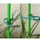 thumbnail image 3 of Soportes para enredaderas, ataduras de jardín reutilizables e impermeables, materiales livianos de calidad PE, usos múltiples para jardines, garajes, patios, hogares, oficinas y talleres, 100 piezas, 3 of 5