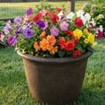 thumbnail image 2 of Sunnydaze Weather-Resistant Double-Walled Anjelica Outdoor Flower Pot Planter - 20" - Rust Finish, 2 of 10