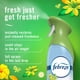 thumbnail image 3 of Ambientador en aerosol Febreze Air Mist Gain Original 240 ml x 6, 3 of 9