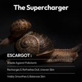 thumbnail image 2 of Mascarilla LAPCOS Escargot con filtrado de caracol, paquete de 5, 2 of 9