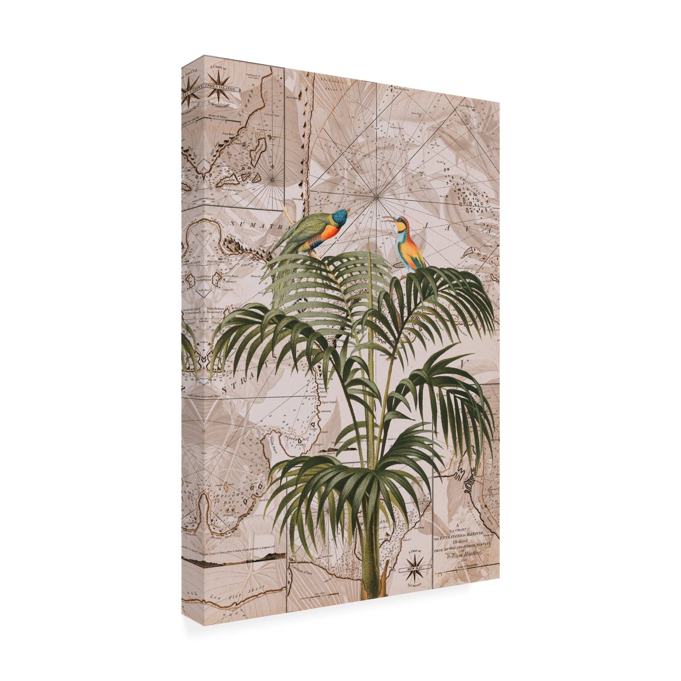 Trademark Fine Art Andrea Haase  Indonesia Jungle Paradise No3 Canvas Wall Art