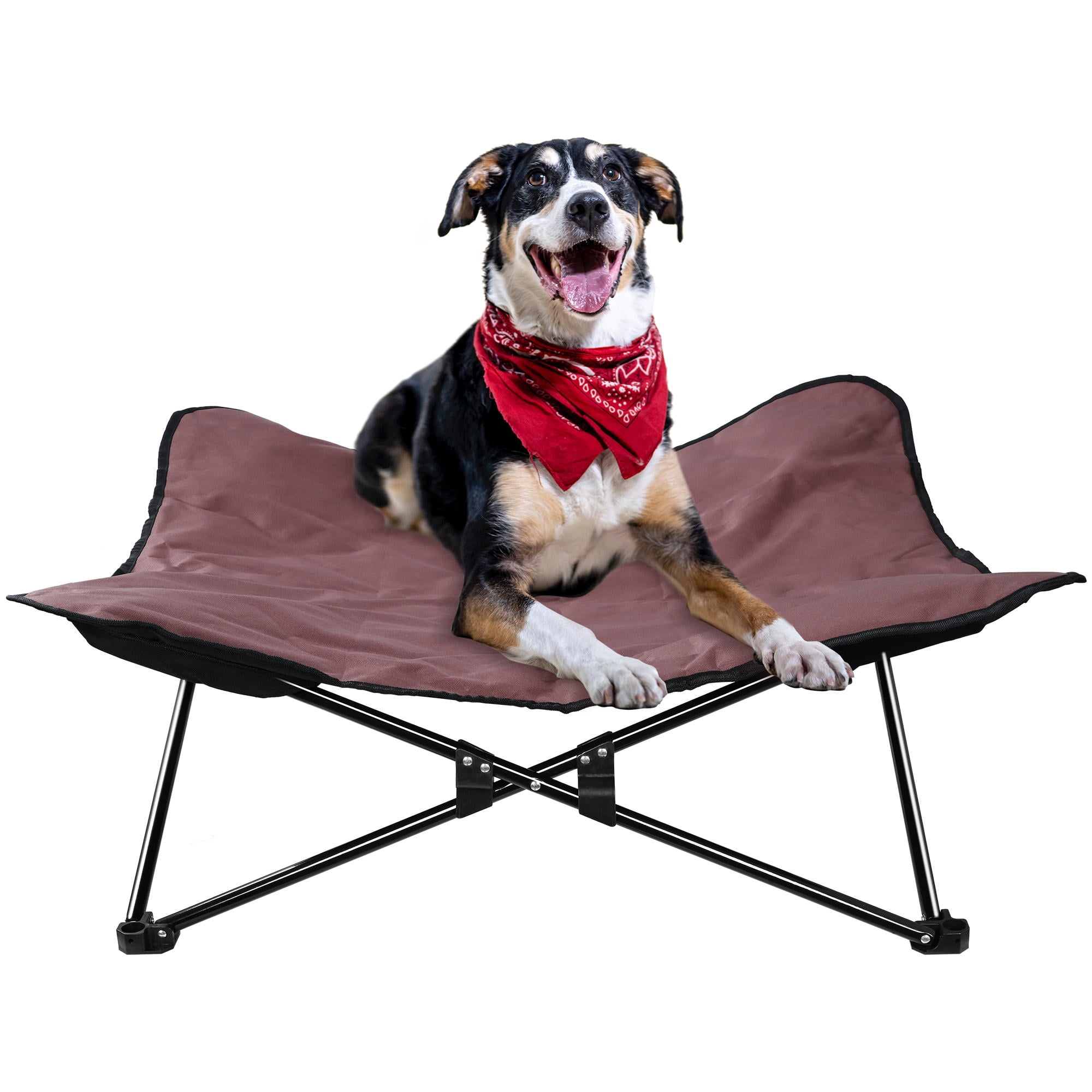 are elevated dog beds better