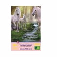 thumbnail image 4 of Rompecabezas 300 Pzs WuundenToy Gold Edition La Cascada de los Unicornios 0512, 4 of 6