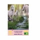 thumbnail image 4 of Rompecabezas 300 Pzs WuundenToy Gold Edition La Cascada de los Unicornios 0512, 4 of 6