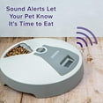 thumbnail image 5 of Pawple Automatic Pet Feeder, 6 Meal Food Dispenser for Dogs, Cats & Small Animals w/Programmable Digital Timer, Portion Control, Dishwasher-Safe Tray Feeds Wet or Dry Food, 5 of 7
