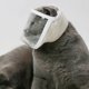 thumbnail image 2 of Bozal de aire para gatos Bozal para casco para el aseo Bozales transparentes para perros pequeños Traje de malla transpirable Máscaras antimordidas Bigote Pet Groomer Helpers 20-25cm Bubble Space, 2 of 5
