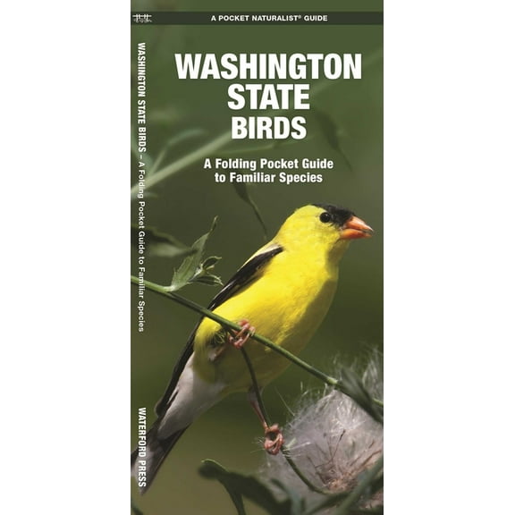 Washington State Birds : A Folding Pocket Guide to Familiar Species