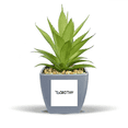 thumbnail image 1 of Special Handwriting English Name DOROTHY Fake Pineapple Flower Pot Vase Mini Decor, 1 of 3