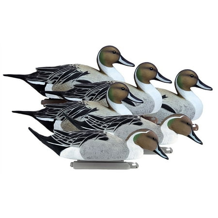 Higdon Battleship Foam Filled Pintail Drakes Only Duck Decoy Polymer 6PK