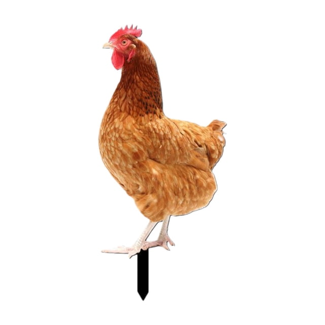 Estaca de pollo para jardín, estatua de Animal, decoración artística, escultura de pollo, estatuilla acrílica para valla, porche, césped de primavera Estilo C