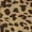 Multicolored, variant on Regatta Womens Bayletta Leopard Print Waterproof Jacket