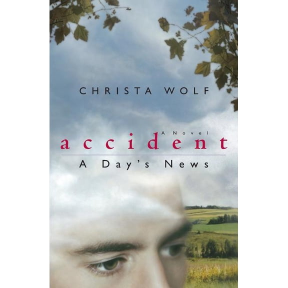 Phoenix Fiction Accident: A Day's News, (Paperback)