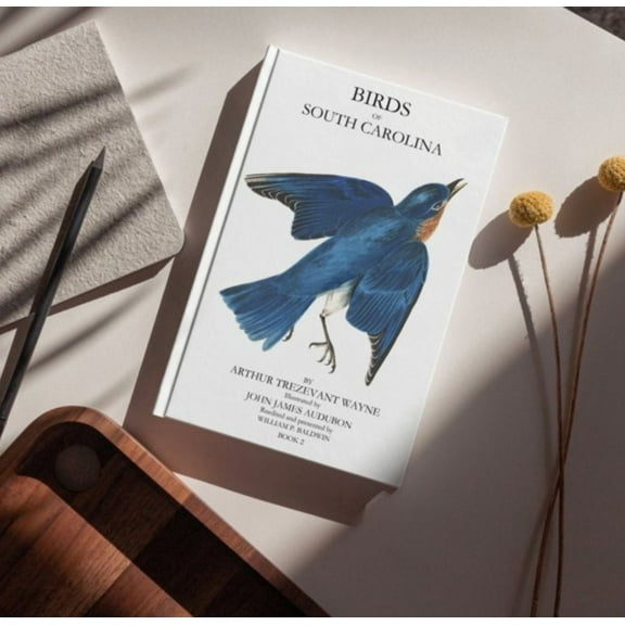 Birds of South Carolina Book 2 (Paperback)