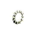 thumbnail image 4 of Ski-Doo New OEM External Serrated Lock Washer, 234461608, 4 of 4