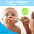 thumbnail image 6 of FirstBrush™ First Baby Toothbrush (0-18 months) Double Pack (Pack of 6 Mixed Colours) | Baby's First Toothbrush, 6 of 9