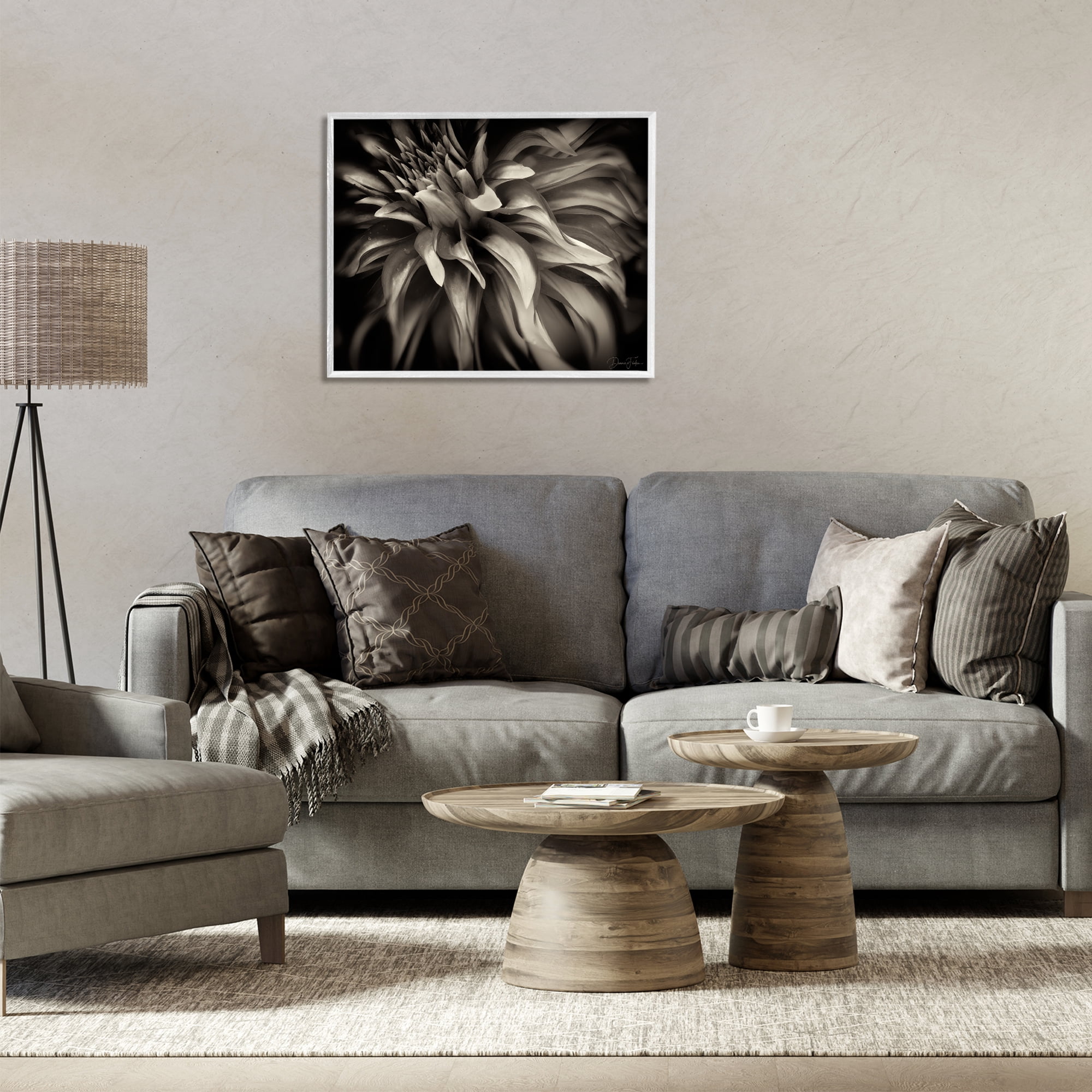 Stupell Industries Dark Curling Chrysanthemum Botanical & Floral Photography White Framed Art Print Wall Art, 30 x 24