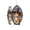 A, variant on YYDENG Halloween Decor Acrylic Dog Wizard Pocket Watch Style Hanging Ornament Indoor A