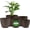 Brown, variant on Multicolor Plant Pots with Drainage Holes & Saucers 3 Packs, Indoor & Outdoor Stackable Plastic Planters in Multiple Sizes for Houseplants & Flowers, Durable & Weatherproof Materials, Matte Finish