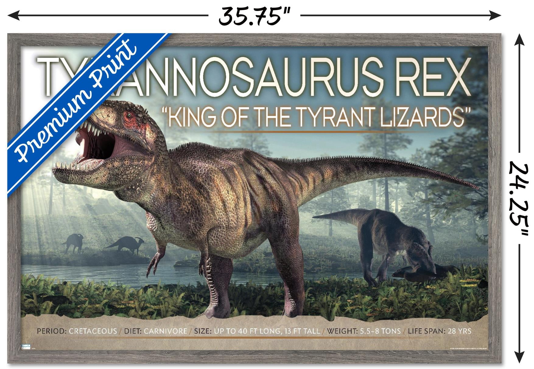Dinosaurs - T-Rex Wall Poster, 22.375" x 34", Framed