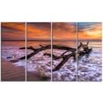 thumbnail image 2 of Huge Branch of Tree at Seashore - Beach Photo Canvas Print, 2 of 3