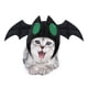 thumbnail image 1 of Sombrero De Mascota De Halloween Adornos De Tocado En Forma De Murciélago Lindo Tocado De Mascota Suave Para Cumpleaños Halloween Navidad Eigraketly HA037011-00, 1 of 6