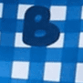 Bluey Checkered