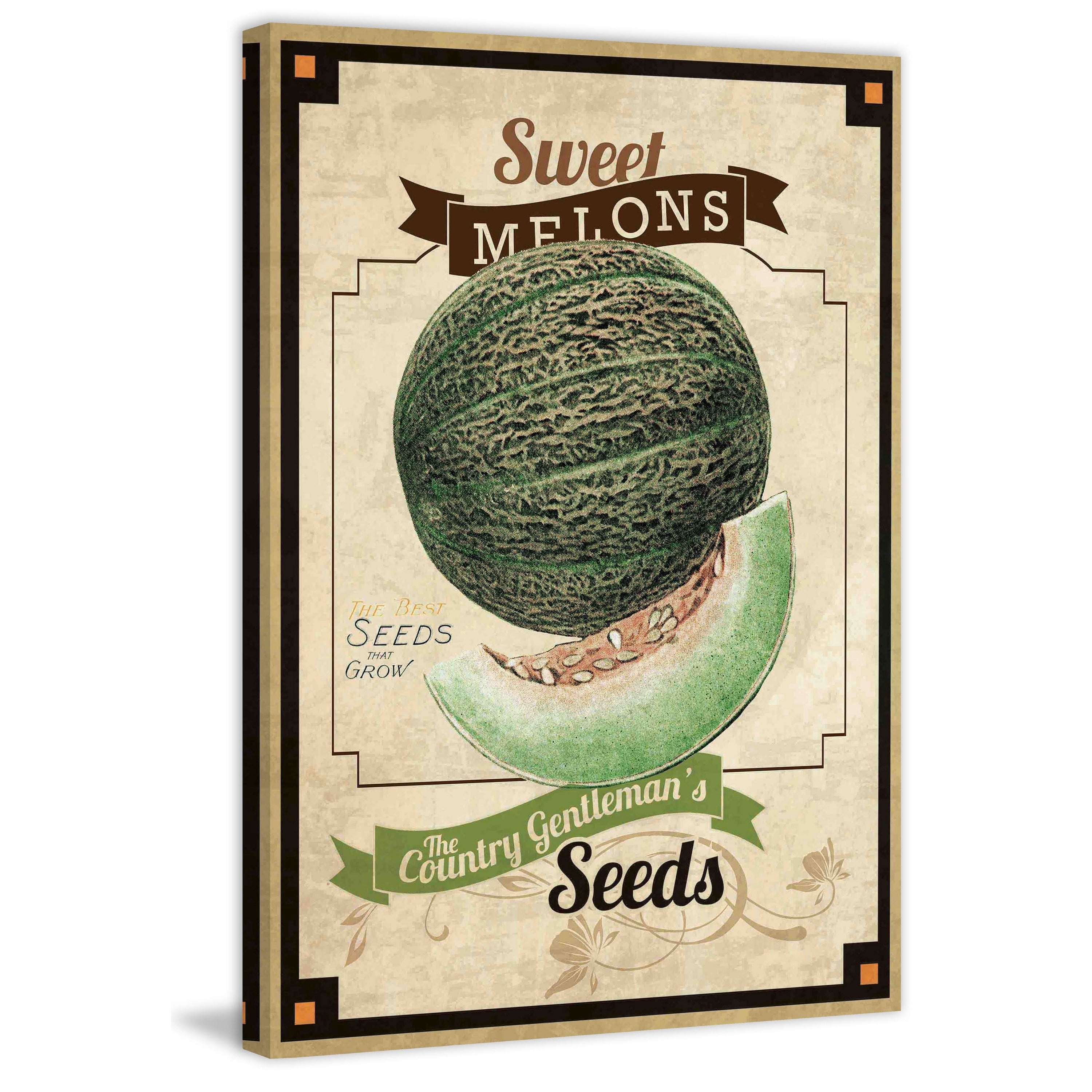 Marmont Hill "Seed Packet Melon" Painting Print on Canvas