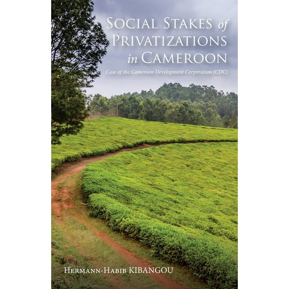 Social Stakes of Privatizations in Cameroon (Paperback)