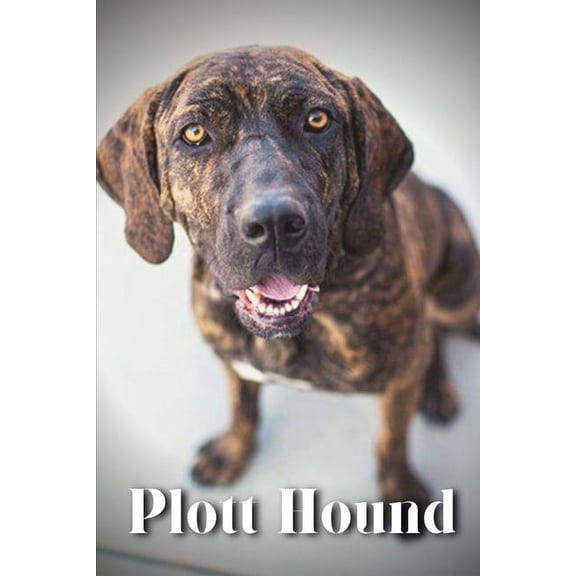 Plott Hound: Dog breed overview and guide, (Paperback)