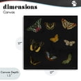 thumbnail image 4 of Stupell Industries Cottage Butterfly & Moth Collection Canvas Art, 17 x 17, by Dan Meneely, 4 of 8