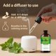 thumbnail image 5 of Aceite esencial mlynkl con fragancia de menta, 130 ml, para difusor, 5 of 8