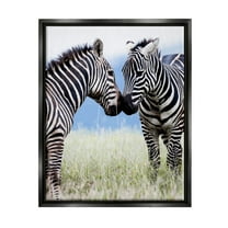 Stupell Industries Heartwarming Zebras Kissing in Field Animal Wildlife Photograph Jet Black Floating Framed Canvas Print Wall Art, Design by Danita Delimont
