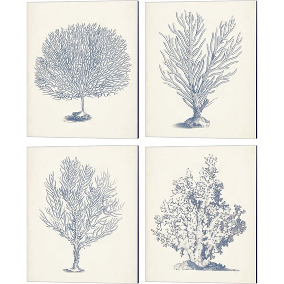 Great Art Now Antique Coral Collection by Vision Studio 4 Piece Canvas Art Set Each 12W x 15H