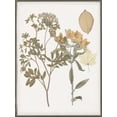 thumbnail image 2 of Goldberger, Jennifer 15x18 Black Ornate Wood Framed with Double Matting Museum Art Print Titled - Book-Pressed Flowers II, 2 of 4