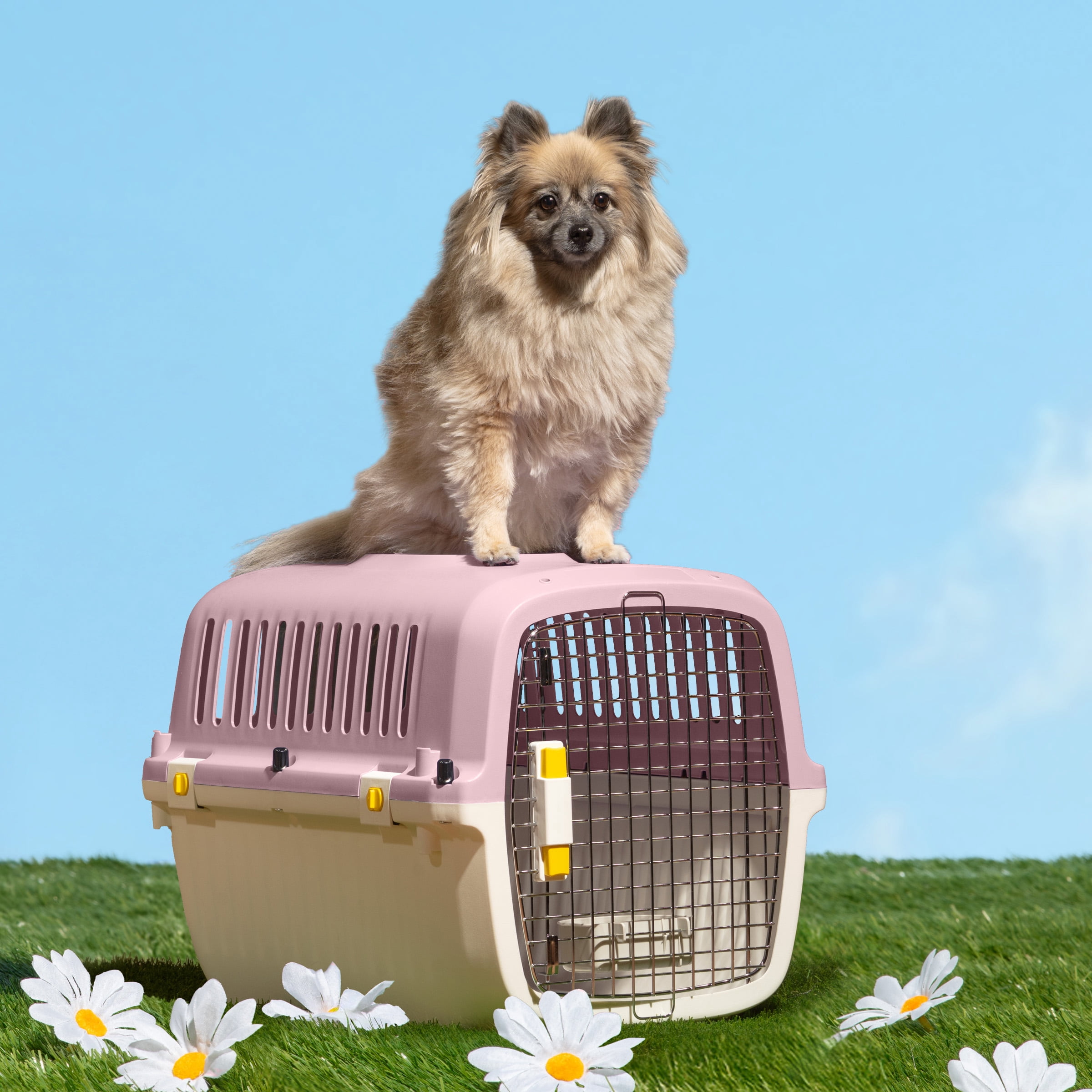Oodles 24" Plastic Travel Pet Kennel, with Clip On Bowl, Pink