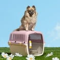 thumbnail image 6 of Oodles 24" Plastic Travel Pet Kennel, with Clip On Bowl, Pink, 6 of 13