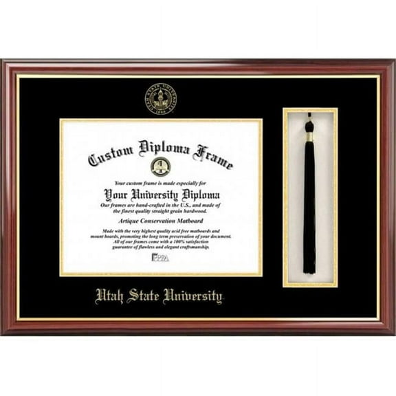 Campus Image UT997PMHGT Utah State University Tassel Box and Diploma Frame