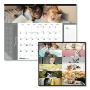 Pets Collection Monthly Desk Pad, Furry Kittens Photography, 22 x 17, White Sheets, Black Binding, 12-Month (Jan-Dec): 2024 | Bundle of 5 Each