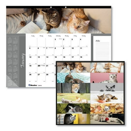 Pets Collection Monthly Desk Pad, Furry Kittens Photography, 22 x 17, White Sheets, Black Binding, 12-Month (Jan-Dec): 2024 | Bundle of 5 Each