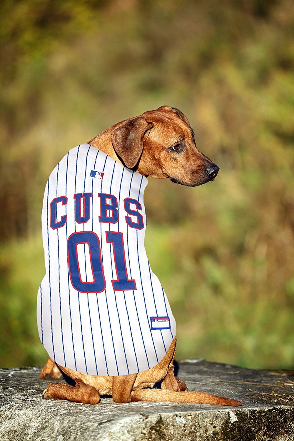 Pets First MLB Chicago Cubs Mesh Jersey for Dogs and Cats - Licensed Soft Poly-Cotton Sports Jersey - Medium