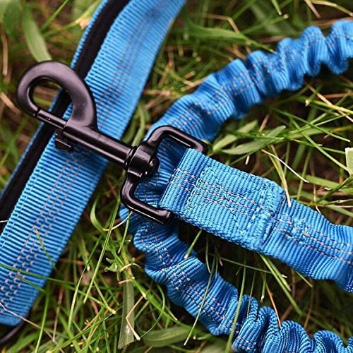 Reflective Stitching Hiking 4FT Length for Medium to XLarge Dogs or Walking with Durable Dual Handles SmartPhone Pouch Smart 3-in-1 Design For Running Waggin Tails Hands Free Bungee Dog Leash 